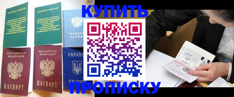 прописка для школы в Шумихе